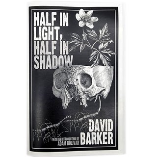 Item #1309 Half in Light, Half in Shadow. David Barker