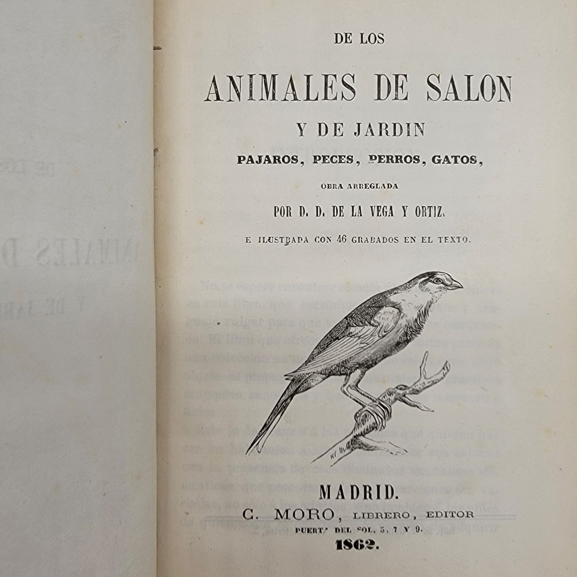 Parlor and Garden Animals De los animales de salon y jardin. Pajaros ...